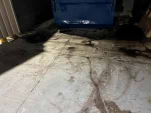 0b83a157-61c0-4768-89e0-5a4fca01fb2f